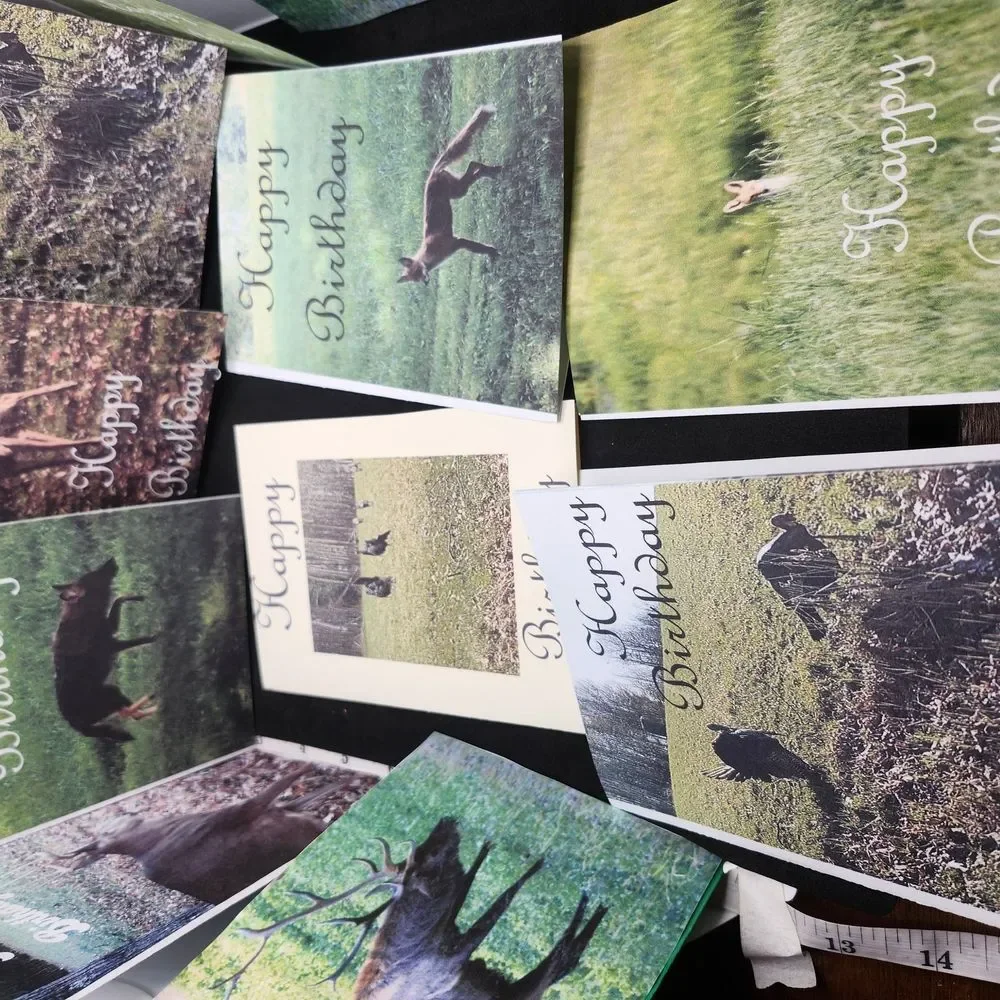 Hand Crafted Nature-Themed Birthday Cards Set Of 12